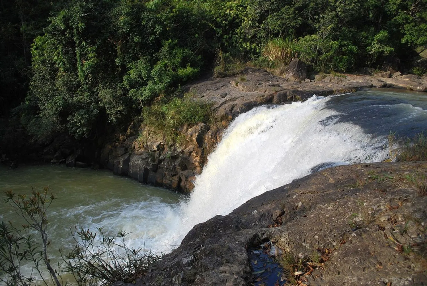 Trekking Măng Đen, chinh phục những cung đường tuyệt đẹp