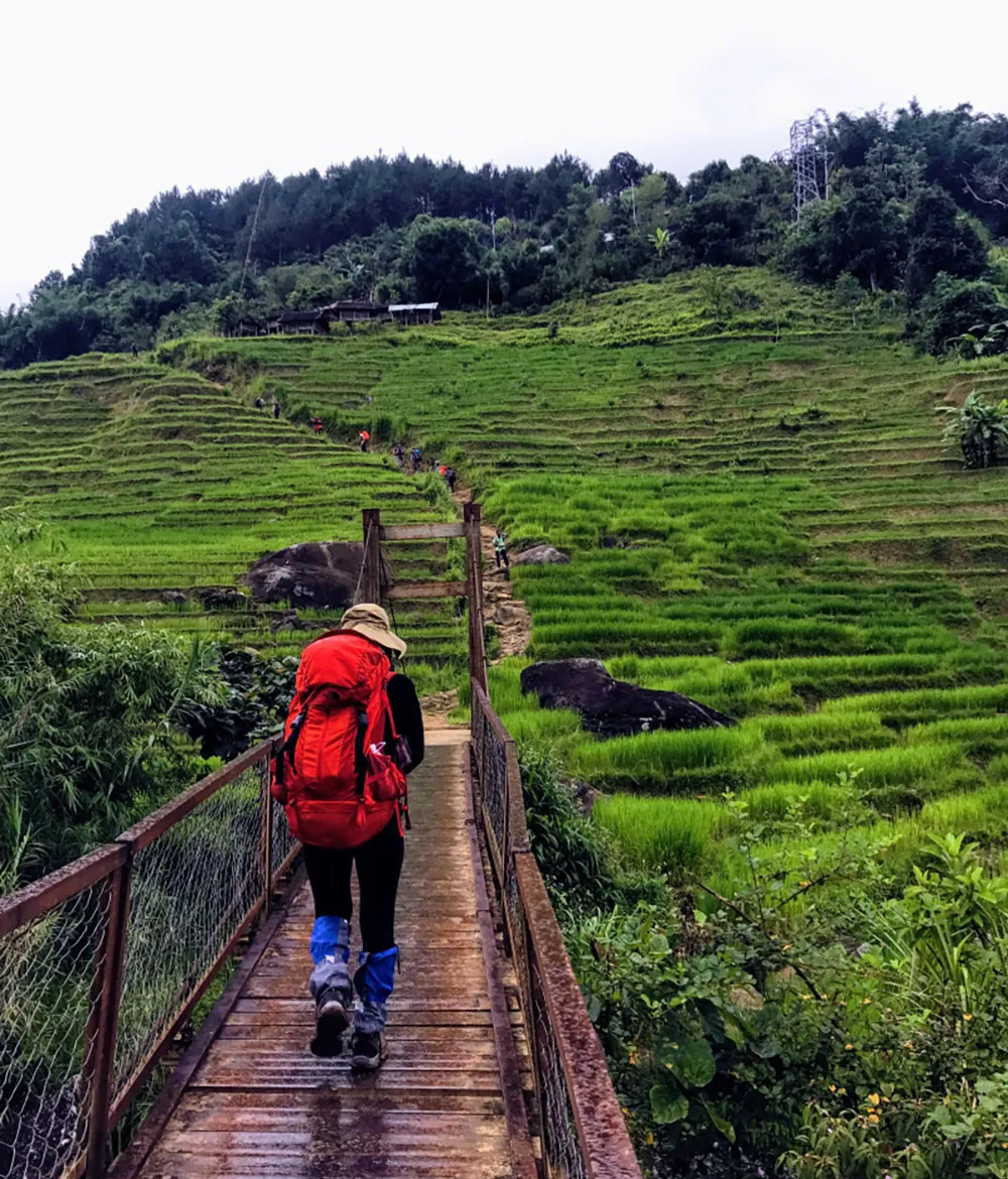 Trekking núi Ngọc Linh, hành trình chinh phục nóc nhà Tây Nguyên