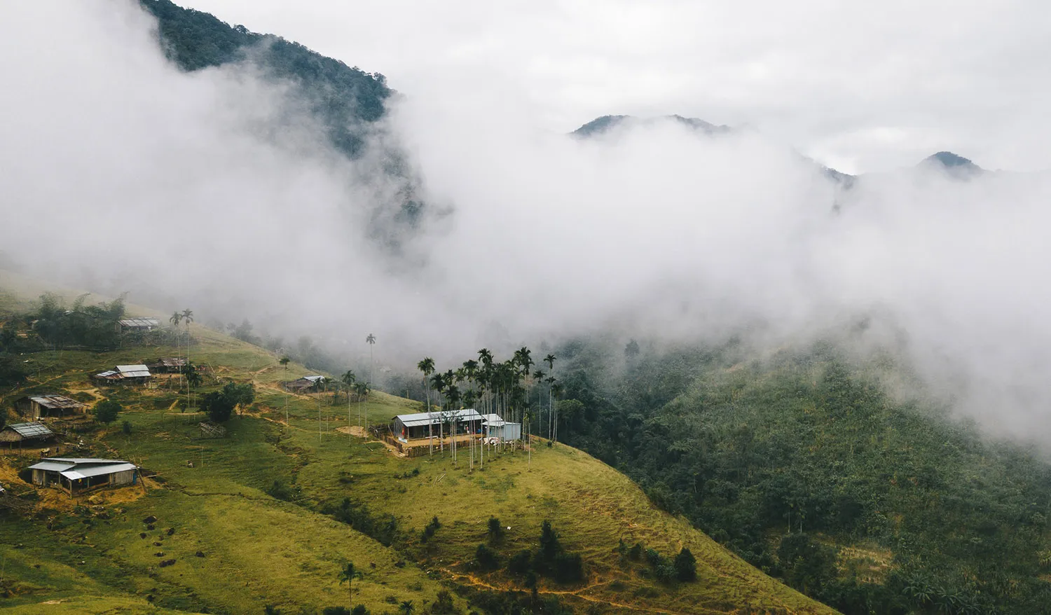 Trekking núi Ngọc Linh, hành trình chinh phục nóc nhà Tây Nguyên