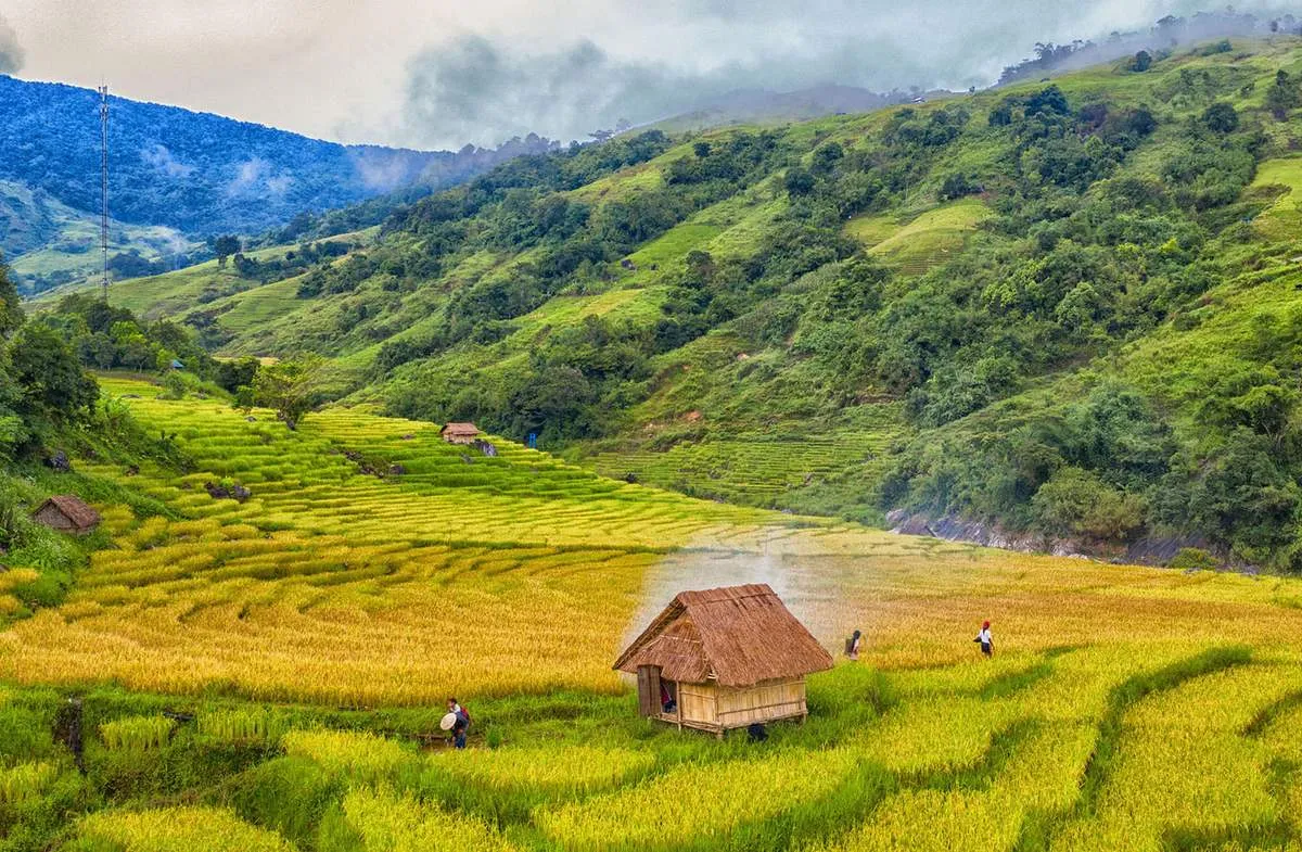 Trekking núi Ngọc Linh, khám phá chốn linh thiêng của người Xê Đăng