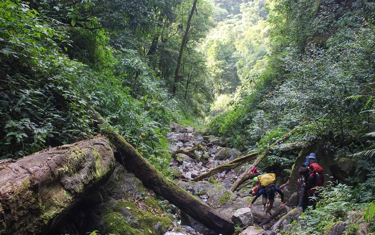 Trekking núi Ngọc Linh, khám phá chốn linh thiêng của người Xê Đăng