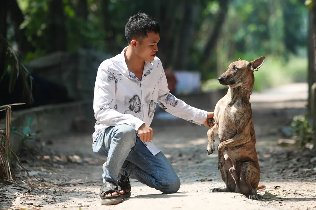 Trung tâm bảo tồn chó xoáy Phú Quốc – Quốc khuyển linh hồn của đảo Ngọc