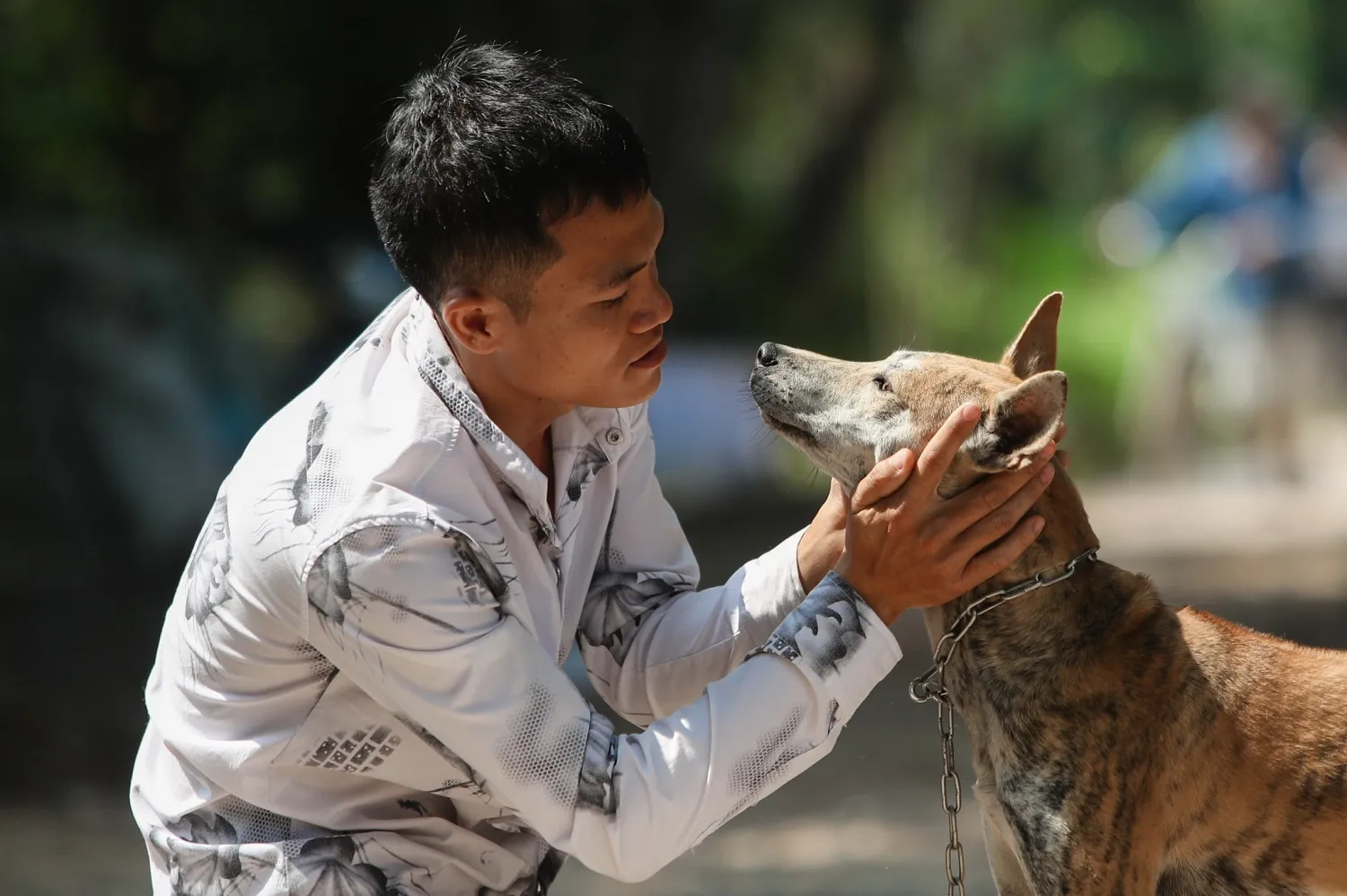 Trung tâm bảo tồn chó xoáy Phú Quốc – Quốc khuyển linh hồn của đảo Ngọc