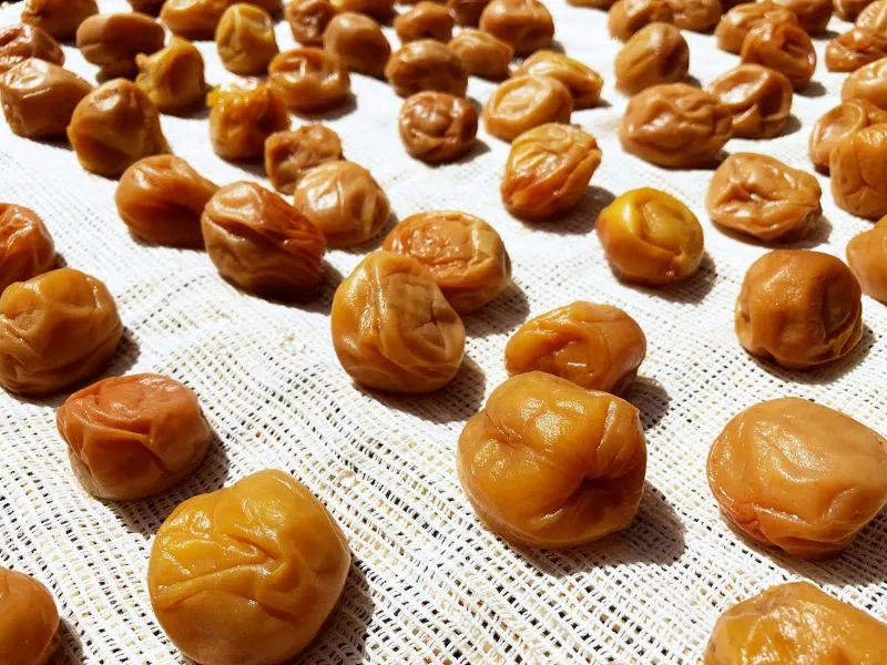 Umeboshi, món mơ muối chua chua mặn mặn khiến bạn u mê