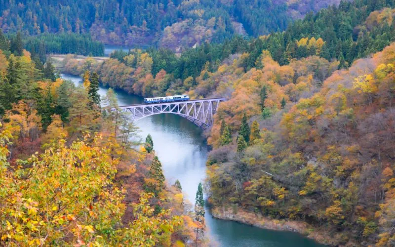 Về thăm Fukushima, nơi sự sống hồi sinh tại xứ sở mặt trời mọc