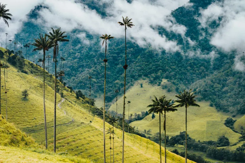 Vi vu Colombia đa sắc màu với những trải nghiệm độc đáo