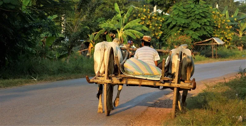 Viên ngọc thô Battambang yên ắng ẩn mình giữa lòng Campuchia