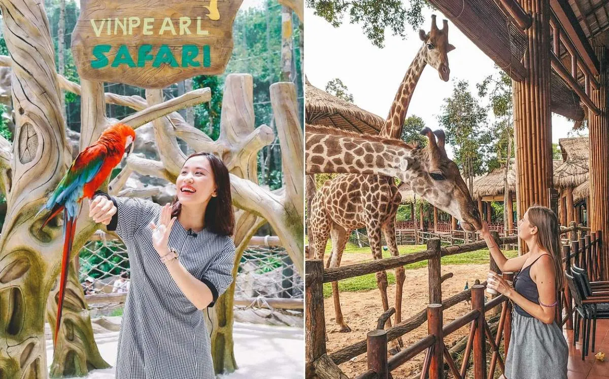 Vinpearl Safari Phú Quốc – Review từ A-Z mô hình bán sở thú hoang dã đầu tiên tại Việt Nam