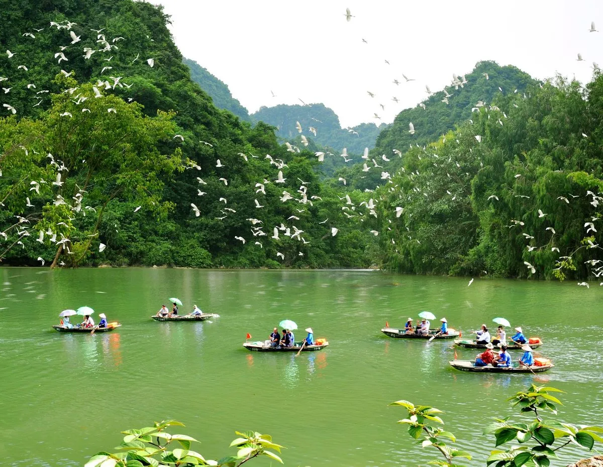 Vườn chim Thung Nham – Lạc vào vương quốc các loài chim ở Ninh Bình