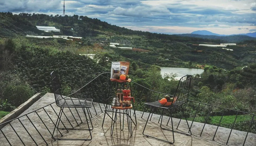 Xao xuyến trước view săn mây Đà Lạt cực đỉnh của top 6 quán coffee xinh xắn, độc đáo