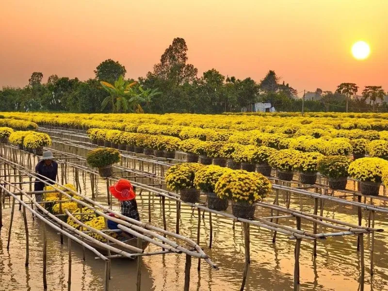 Xuôi về miền Tây tham quan 9 điểm du lịch Đồng Tháp nổi tiếng